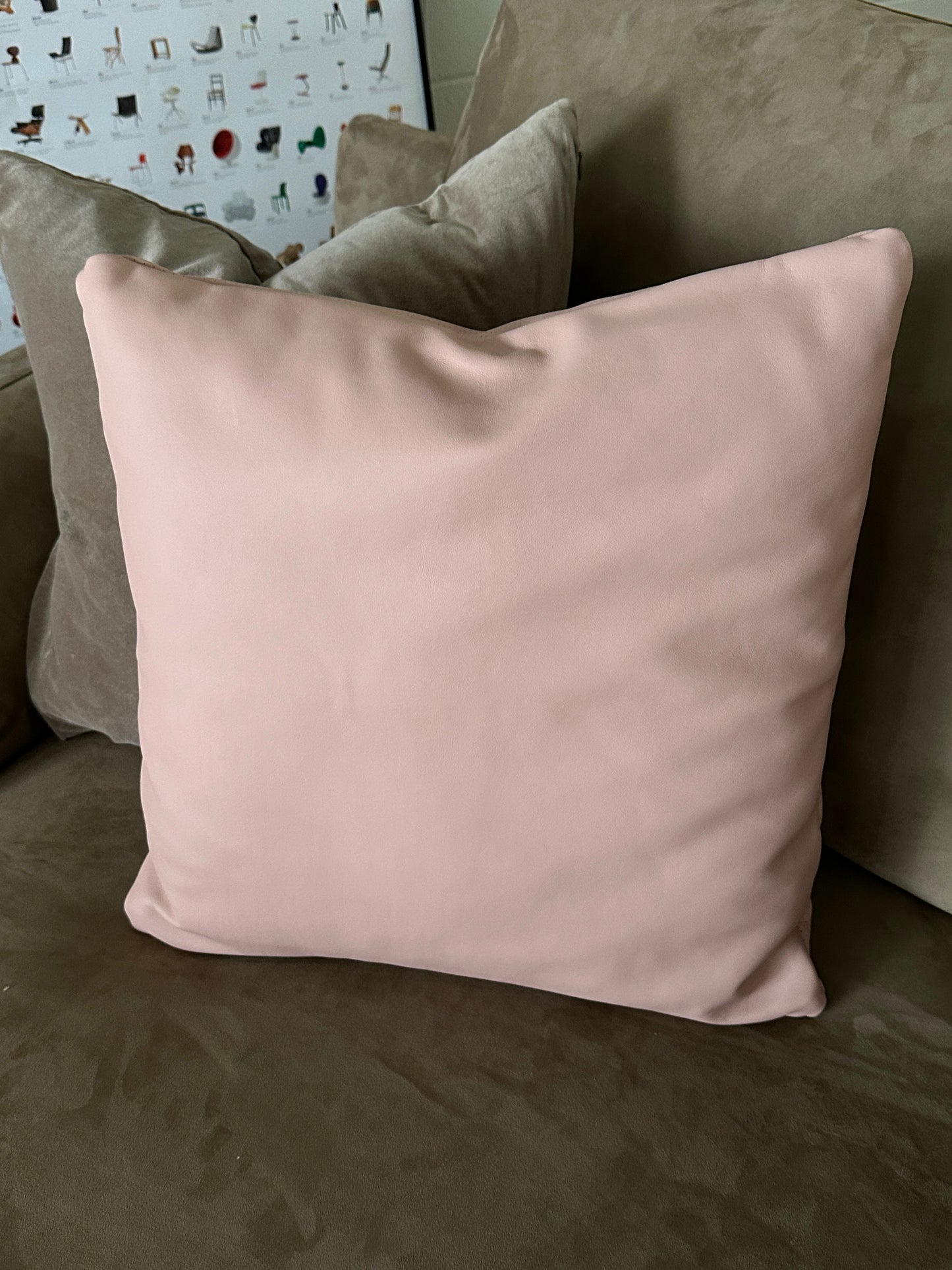 Goose down cushion