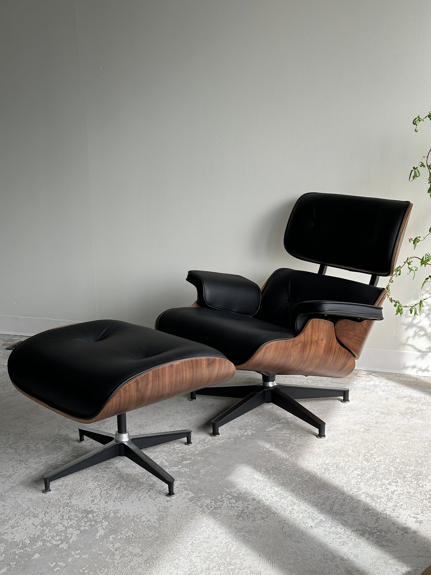 Emes classic chair